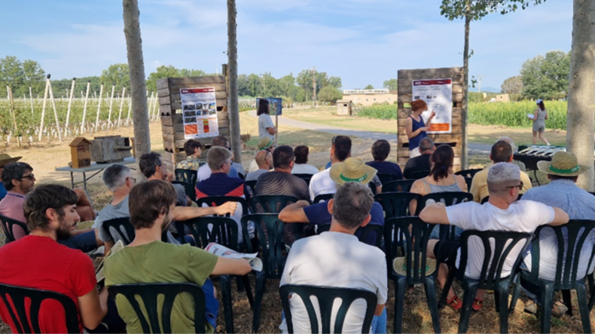 Giropoma dona el tret de sortida a la collita 2024 amb la tradicional Jornada Fructícola d’estiu i l’acte simbòlic de la primera poma de Girona