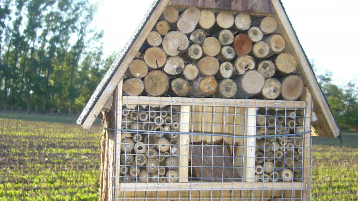 Giropoma favorece la biodiversidad en el campo para un control sostenible de las plagas